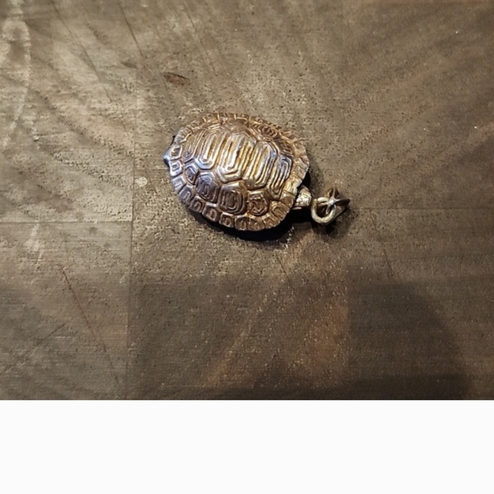 .925 Turtle
